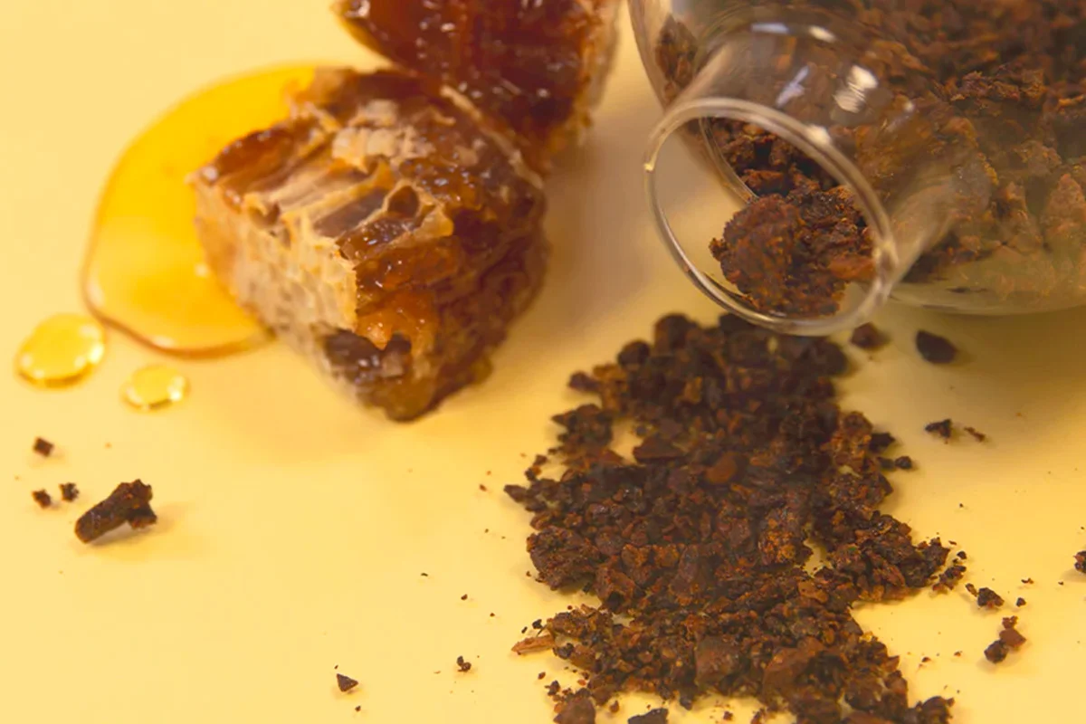 Propolis brute brun-rougeâtre récoltée par les abeilles sur les bourgeons — utilisée pour étanchéifier et désinfecter la ruche