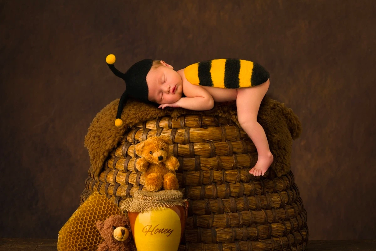 Abeilles immobiles en phase de repos sur un cadre de ruche — les abeilles dorment plusieurs heures par nuit, antennes abaissées