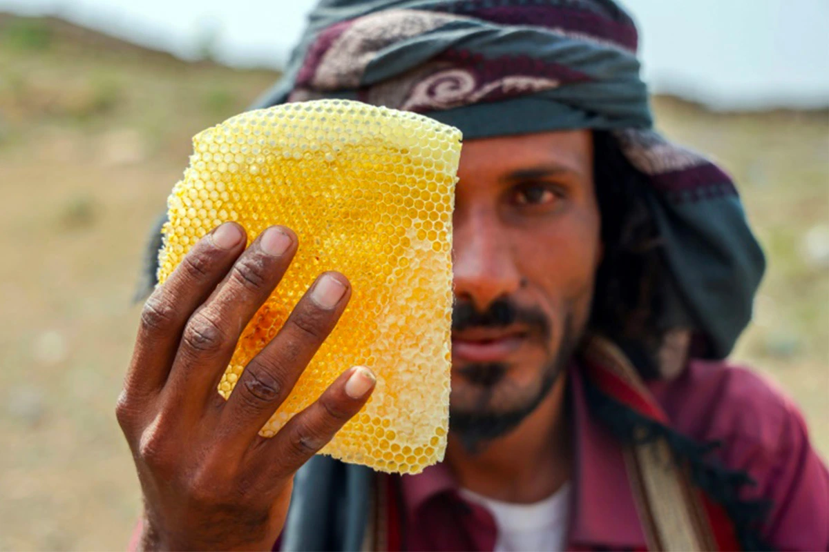 miel du yemen